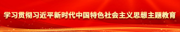 擦逼洞视频学习贯彻习近平新时代中国特色社会主义思想主题教育